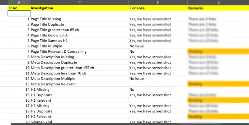 audit report excel